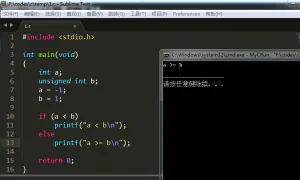 c语言表达式中数值类型的自动转换