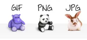 常见图像格式JPG PNG GIF BMP